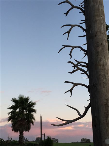 Bees Rock Ranch (9/17/2025 - Credits: Nick Freedman)