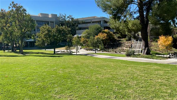 College of the Canyons - Honor Grove Quad (11/3/2021 - Credits: Leo Fialho)