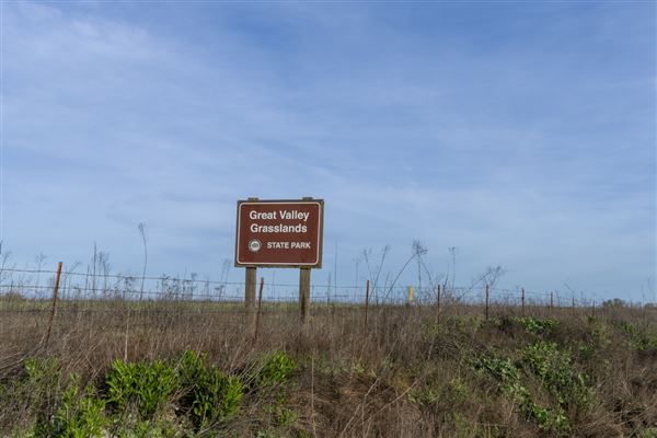 Great Valley Grasslands State Park (SP) (3/13/2024 - Credits: Brian Baer)