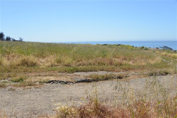 El Pescador State Beach @ Robert H. Meyer Memorial State Beach (SB) - CFC (4/17/2019 - Credits: Leo Fialho)