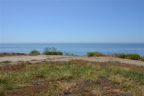 El Pescador State Beach @ Robert H. Meyer Memorial State Beach (SB) - CFC (4/17/2019 - Credits: Leo Fialho)
