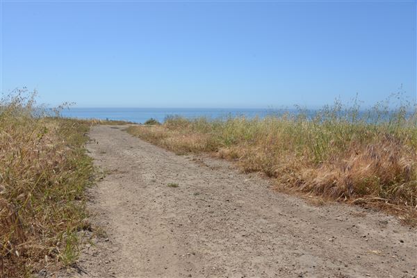 El Pescador State Beach @ Robert H. Meyer Memorial State Beach (SB) - CFC (4/17/2019 - Credits: Leo Fialho)