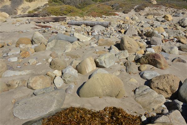 El Pescador State Beach @ Robert H. Meyer Memorial State Beach (SB) - CFC (11/14/2017 - Credits: Leo Fialho)