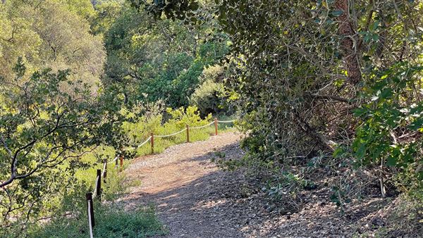 Descanso Gardens - California Garden (3/7/2022 - Credits: Leo Fialho)