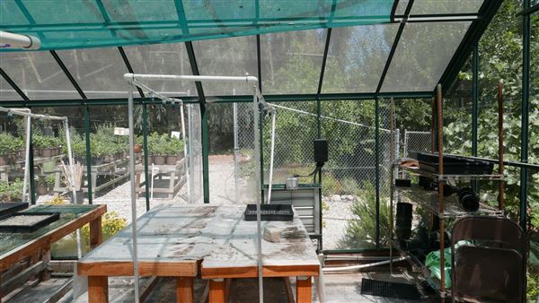 Descanso Gardens - Plant Propagation Greenhouse (7/26/2017 - Credits: Leo Fialho)