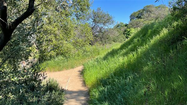 Descanso Gardens - Hopes Garden (3/7/2022 - Credits: Leo Fialho)
