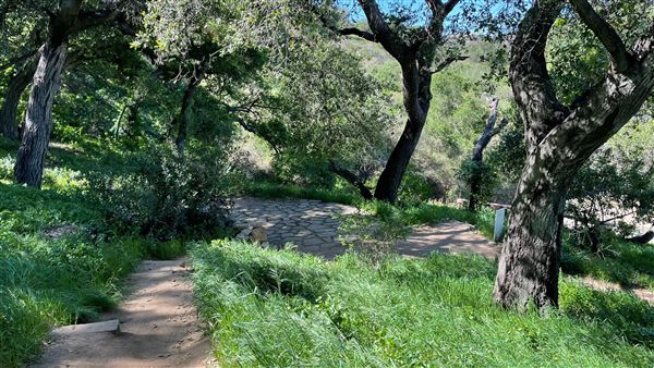 Descanso Gardens - Hopes Garden (3/7/2022 - Credits: Leo Fialho)
