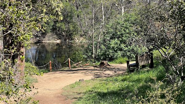 Descanso Gardens - Lake (3/7/2022 - Credits: Leo Fialho)