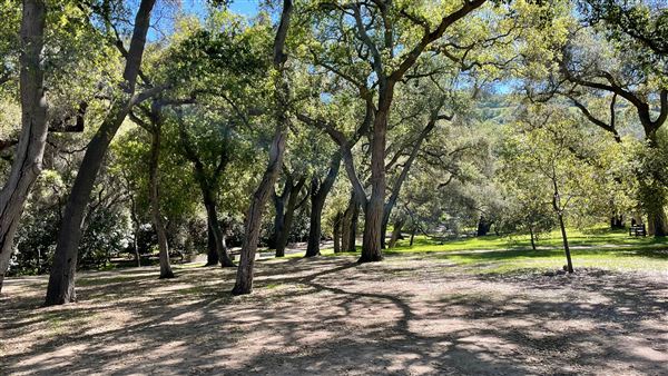 Descanso Gardens (3/7/2022 - Credits: Oak Grove)