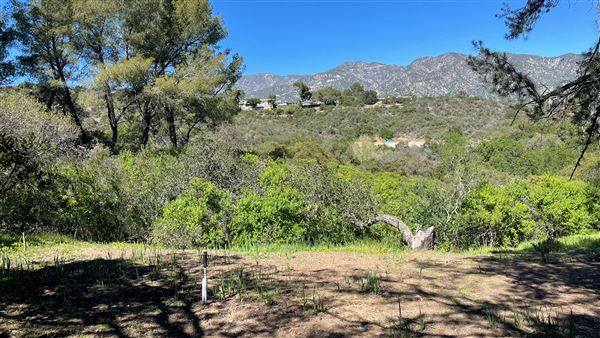 Descanso Gardens - Oak Woodland (3/7/2022 - Credits: Leo Fialho)