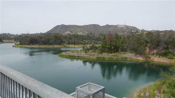 Hollywood Reservoir - LADWP (5/3/2016 - Credits: Leo Fialho)
