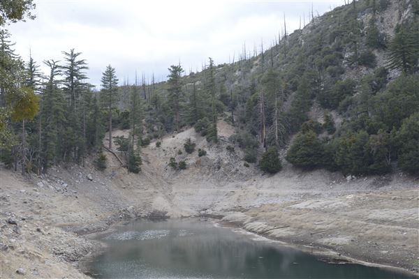 Crystal Lake Recreation Area / Campground - Angeles National Forest (1/30/2015 - Credits: Leo Fialho)
