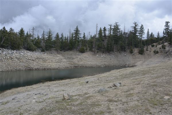 Crystal Lake Recreation Area / Campground - Angeles National Forest (1/30/2015 - Credits: Leo Fialho)