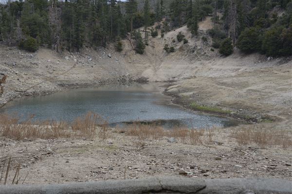 Crystal Lake Recreation Area / Campground - Angeles National Forest (1/30/2015 - Credits: Leo Fialho)
