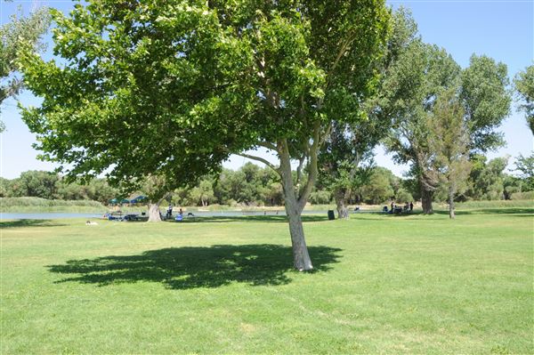 Mojave Narrows Regional Park - Pelican Lake (7/6/2012 - Credits: Leo Fialho)