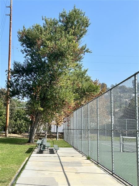 Rio de Los Angeles State Park (SP) - Taylor Yard - Inter Agency - LA City Parks & CA State Parks (11/3/2025 - Credits: Brandy Davis)