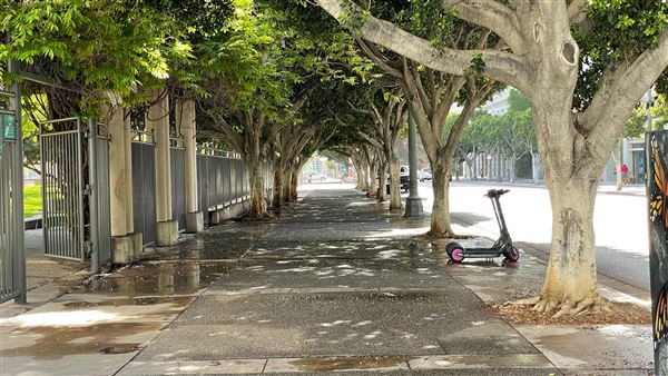 Grand Hope Park (3/21/2022 - Credits: Leo Fialho)