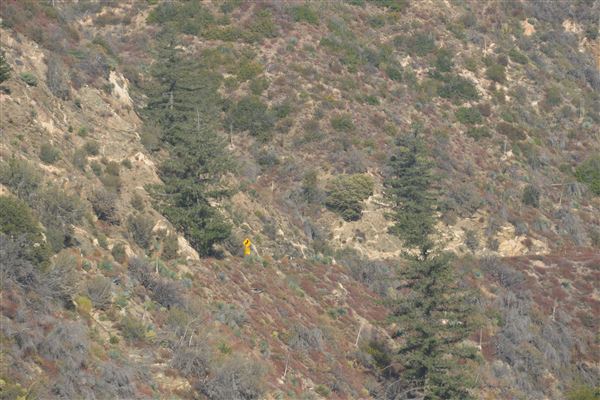 Angeles Crest Highway - SR2 - Between MM 37.21 & Red Box Picnic Area (11/16/2016 - Credits: Leo Fialho)