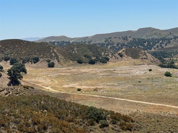 Big Sky Movie Ranch - Roads & Vistas & Forest (11/17/2025 - Credits: Owner)