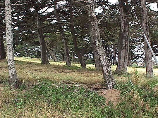 Locke Paddon Park (12/31/2003)