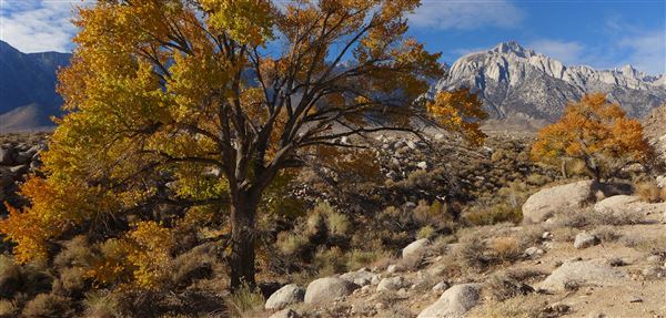 Alabama Hills - Bureau of Land Management / BLM - Bishop Field Office (12/2/2025 - Credits: David Kirk - Bureau of Land Management)