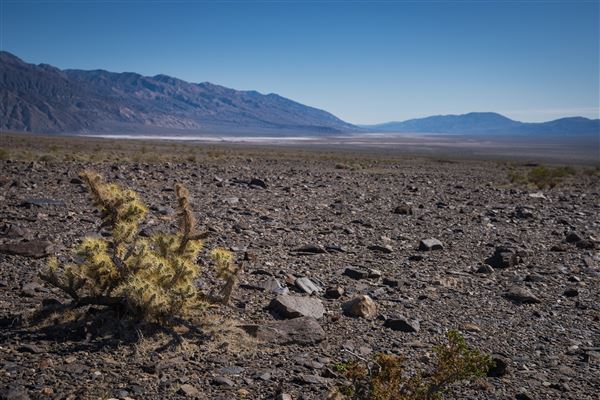 Panamint Dry Lake - BLM (12/4/2025 - Credits: Jesse Pluim - Bureau of Land Management)