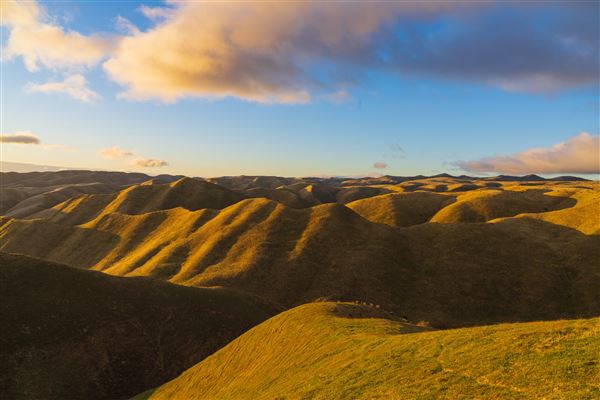 Panoche Hills - BLM (12/8/2025 - Credits: Jesse Pluim - Bureau of Land Management)