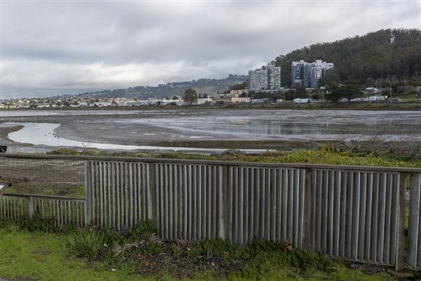Albany State Marine Reserve - State Lands Commission (SLC) (2/2/2016 - Credits: Brian Baer)