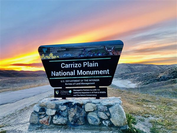 Carrizo Plain National Monument (12/11/2025 - Credits: Russ Namitz - Bureau of Land Management)