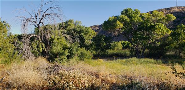The Painted Turtle Camp - Trails (7/25/2025 - Credits: David Halver)