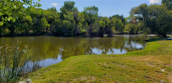 The Painted Turtle Camp - Lakes (7/17/2025 - Credits: David Halver)