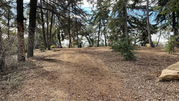 Griffith Park Redwoods - Cedar Grove - Cedar Grove (12/10/2021 - Credits: Leo Fialho)