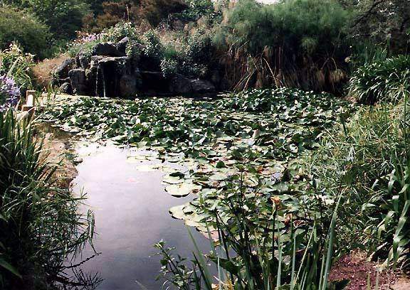 Los Angeles County Arboretum (12/31/2003)