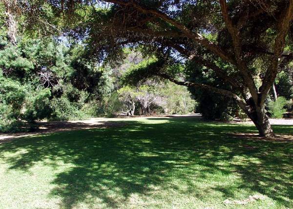 Los Angeles County Arboretum (12/31/2003)