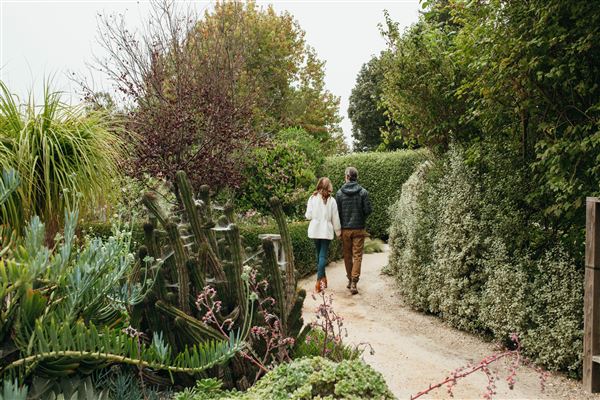 Cambria Pines Lodge & Cambria Christmas Market (1/30/2026 - Credits: Cambria Pines Lodge)