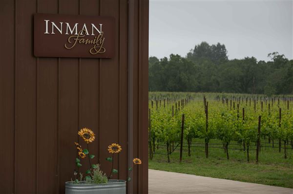 Olivet Grange Vineyard (2/3/2026 - Credits: Inman Family Wines)