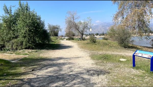 Peck Road Water Conservation Park (2/9/2026 - Credits: Brandy Davis)