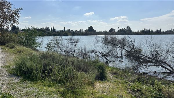 Peck Road Water Conservation Park (2/9/2026 - Credits: Brandy Davis)