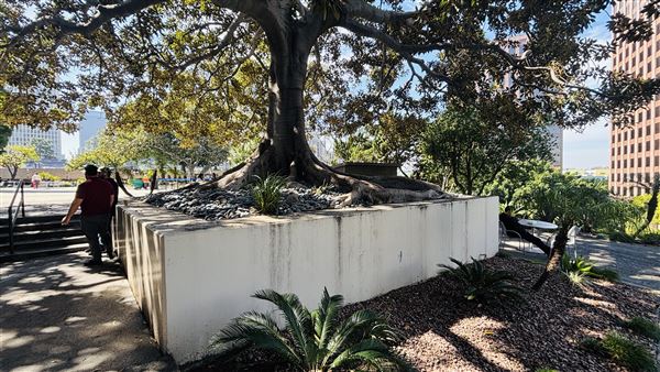 LADWP Headquarters / John Ferraro Building - Outdoor Eating Area (2/25/2026 - Credits: Brandy Davis)