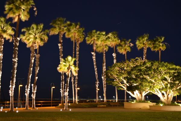 Cabrillo Marina (3/4/2026 - Credits: submitted by: Henry Rivas / 11.3.2023 Rivas)