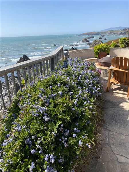 Best View on the Sonoma Coast (2/21/2026 - Credits: Me)