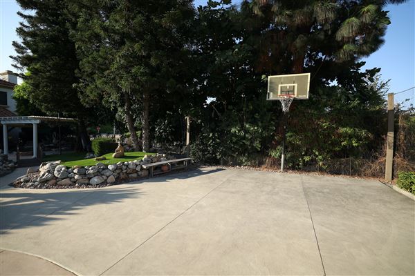 Meadowpass Road (11/12/2025 - Credits: Herman Au & Brett Kennedy)