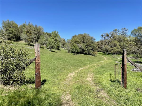 Aukum Ranch (3/20/2026 - Credits: Jon Masters)
