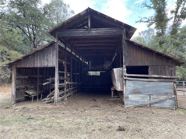 Aukum Ranch (3/20/2026 - Credits: Jon Masters)
