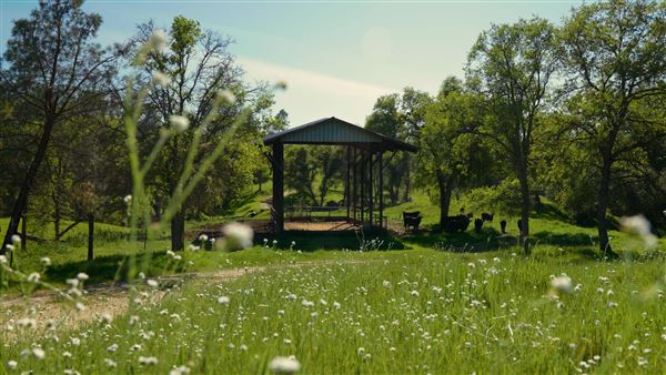 8,600 Acres in Mariposa & Madera County (3/21/2026 - Credits: Nicholas Padilla)