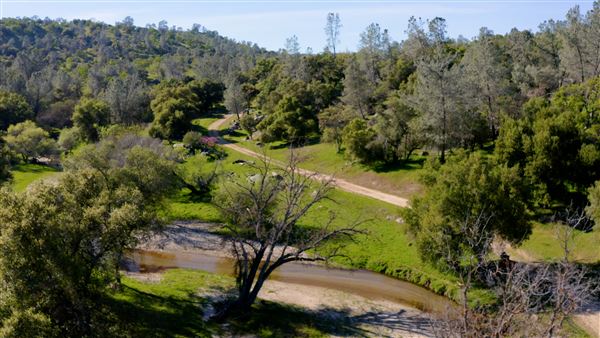 8,600 Acres in Mariposa & Madera County (3/21/2026 - Credits: Nicholas Padilla)