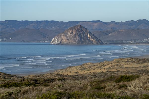 Morro Bay State Park (SP) (12/1/2021 - Credits: Brian Baer)
