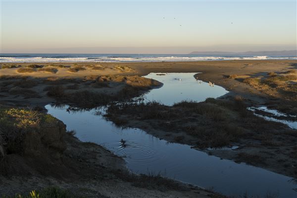 Morro Strand State Beach (SB) (11/30/2016 - Credits: Brian Baer)