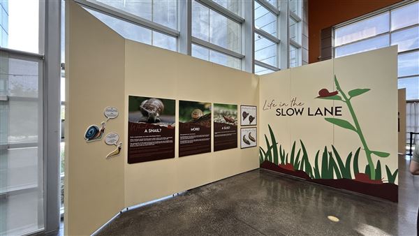 Wester Science Center (3/28/2026 - Credits: Brandy Davis)