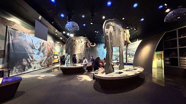Wester Science Center (3/28/2026 - Credits: Brandy Davis)